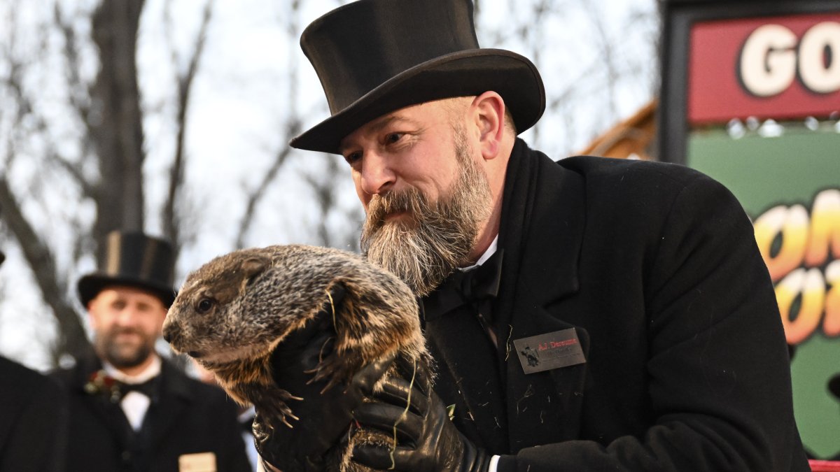 Groundhog Day 2024 forecast: Will Punxsutawney Phil see his shadow? – NBC 6 South Florida - Vimarsana News