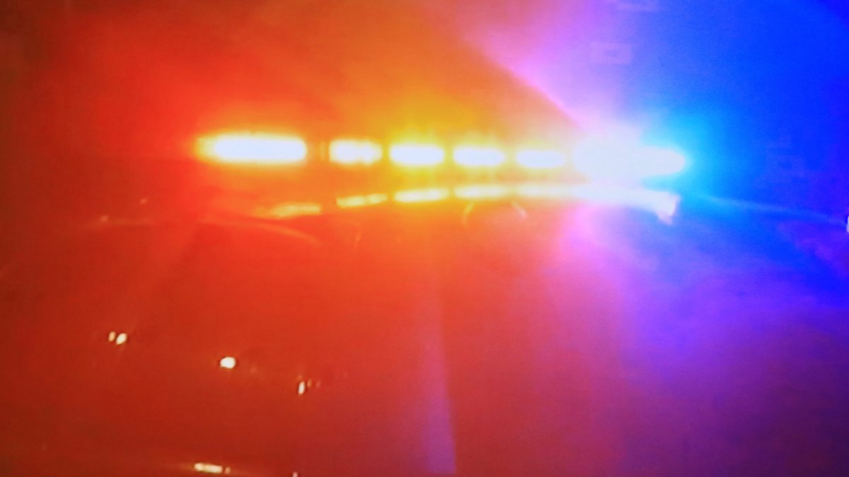 Man in wheelchair attacked by two dogs in Florida City – NBC 6 South ...