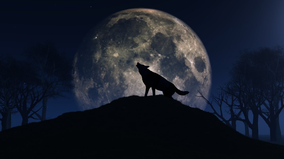 How to see the Full Wolf Moon on Thursday – NBC 6 South Florida - Vimarsana News
