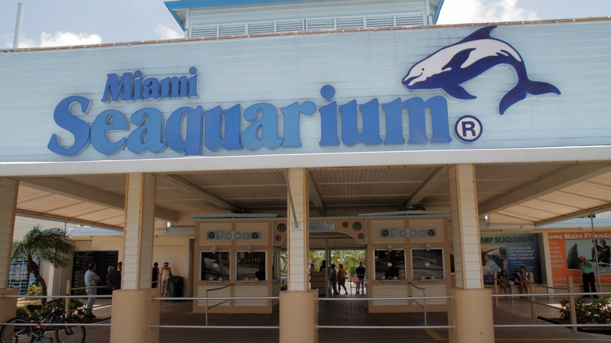 Miami Seaquarium’s park operator files federal lawsuit against Miami-Dade County – NBC 6 South Florida