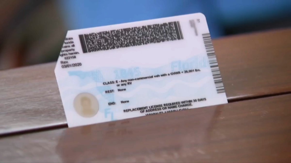 Florida bans transgender people from changing their sex on driver’s licenses to reflect gender