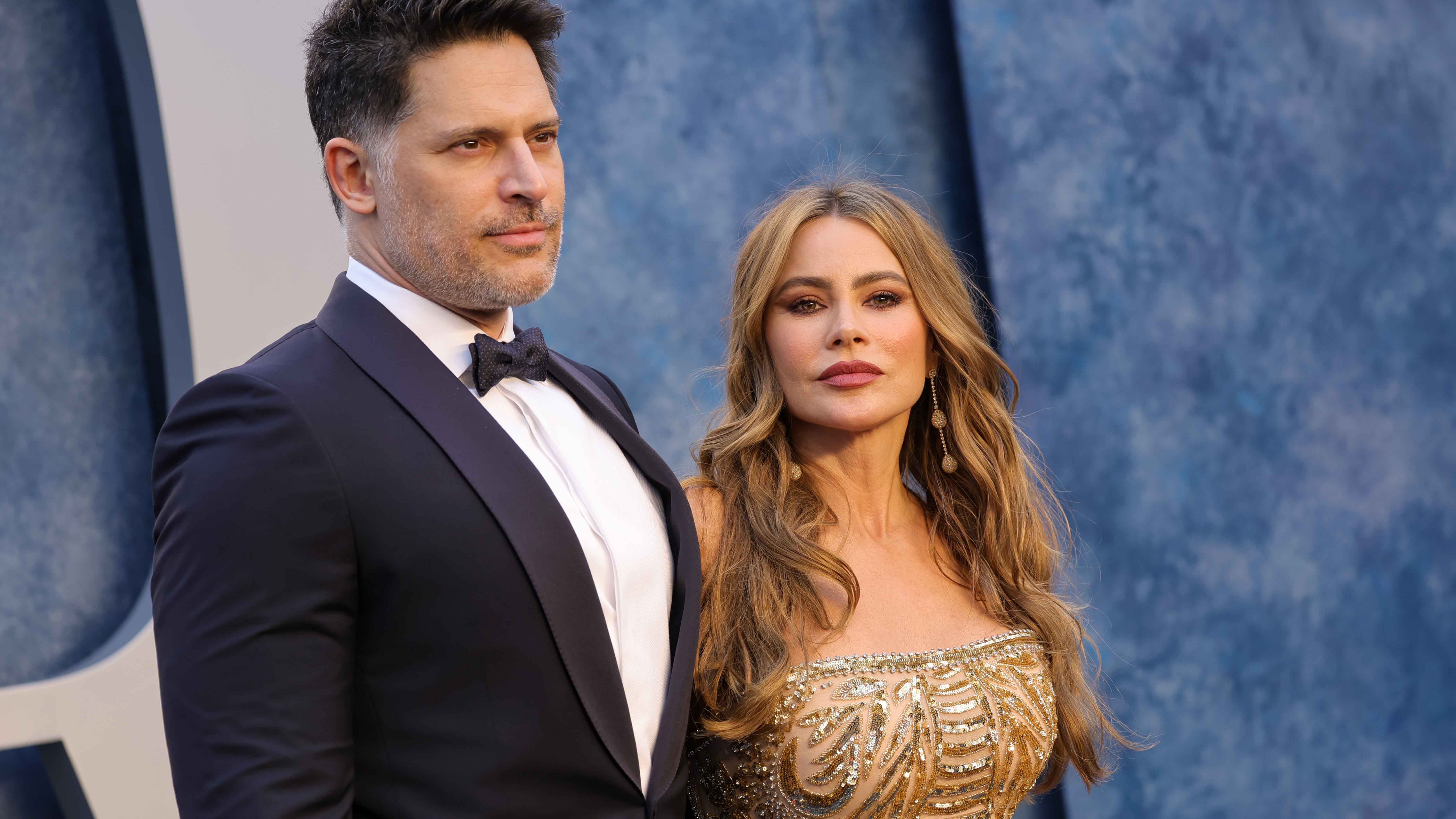 Sofia Vergara Opens Up About 'Difficult' Year Following Divorce
