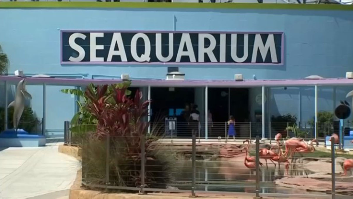 miami seaquarium video tour