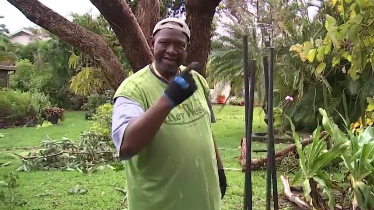 Residents clean up damage after tornado rips through Davie – NBC 6 ...