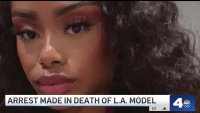 Arrest made in gruesome death of LA model