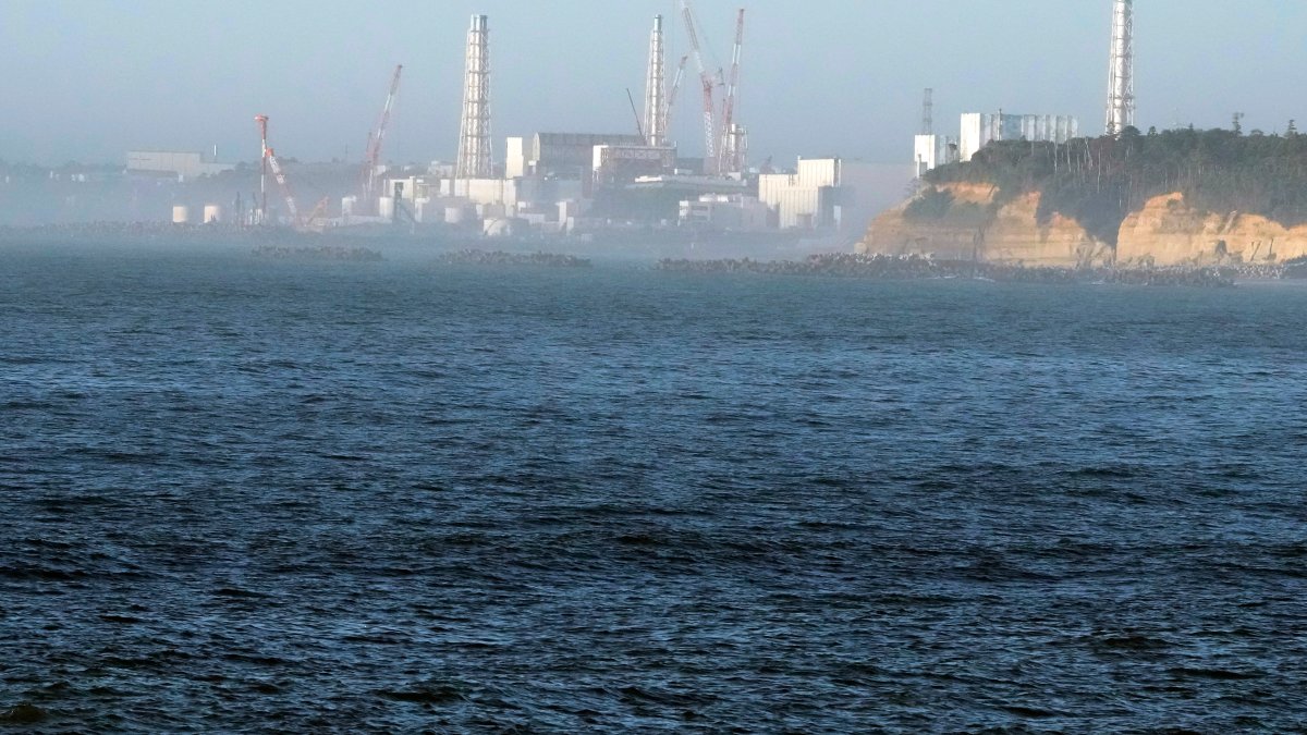 Radioactive water leaked from Fukushima nuclear plant, operator says