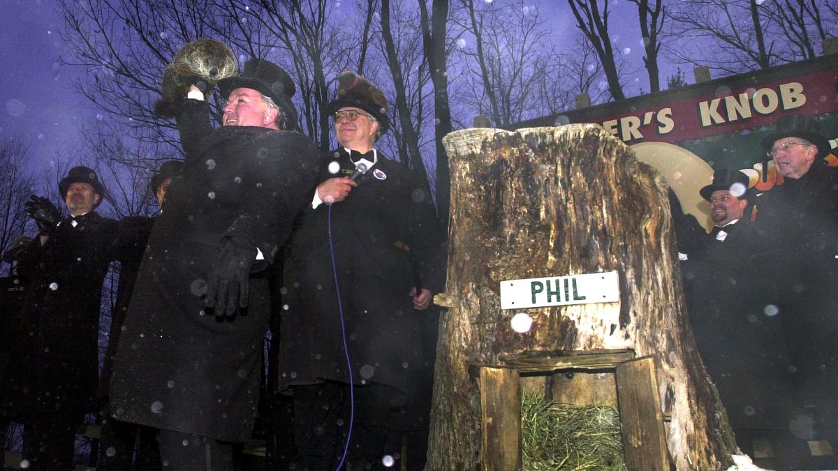 Why do we celebrate Groundhog Day? – NBC 6 South Florida