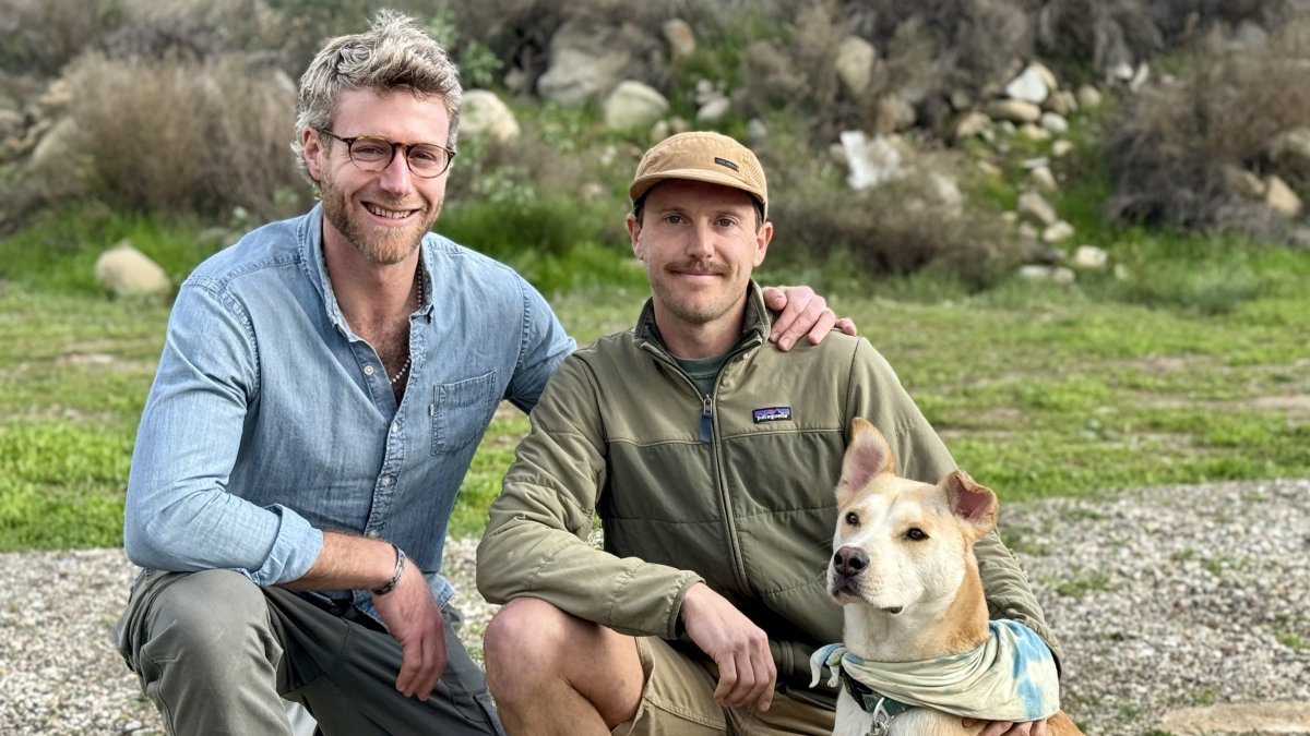 Runners save their dog from a mountain lion attack in So Cal – NBC 6 South Florida - Vimarsana News