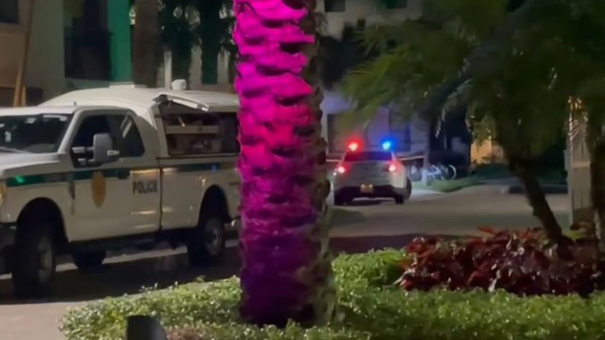 Man arrested on murder charge after woman fatally stabbed in Doral ...