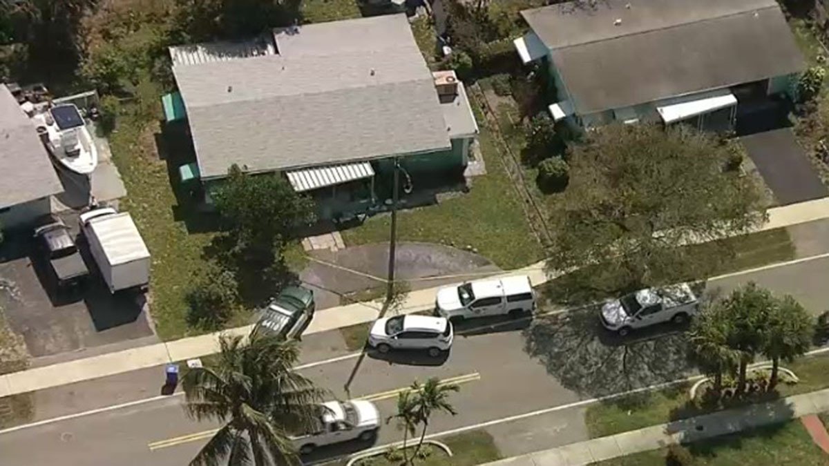 Woman arrested for allegedly setting cat on fire in Pompano Beach ...