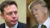 Elon Musk says Trump ‘came by' while he was eating breakfast, did not ask for money