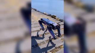 Boston Dynamics robotic dog