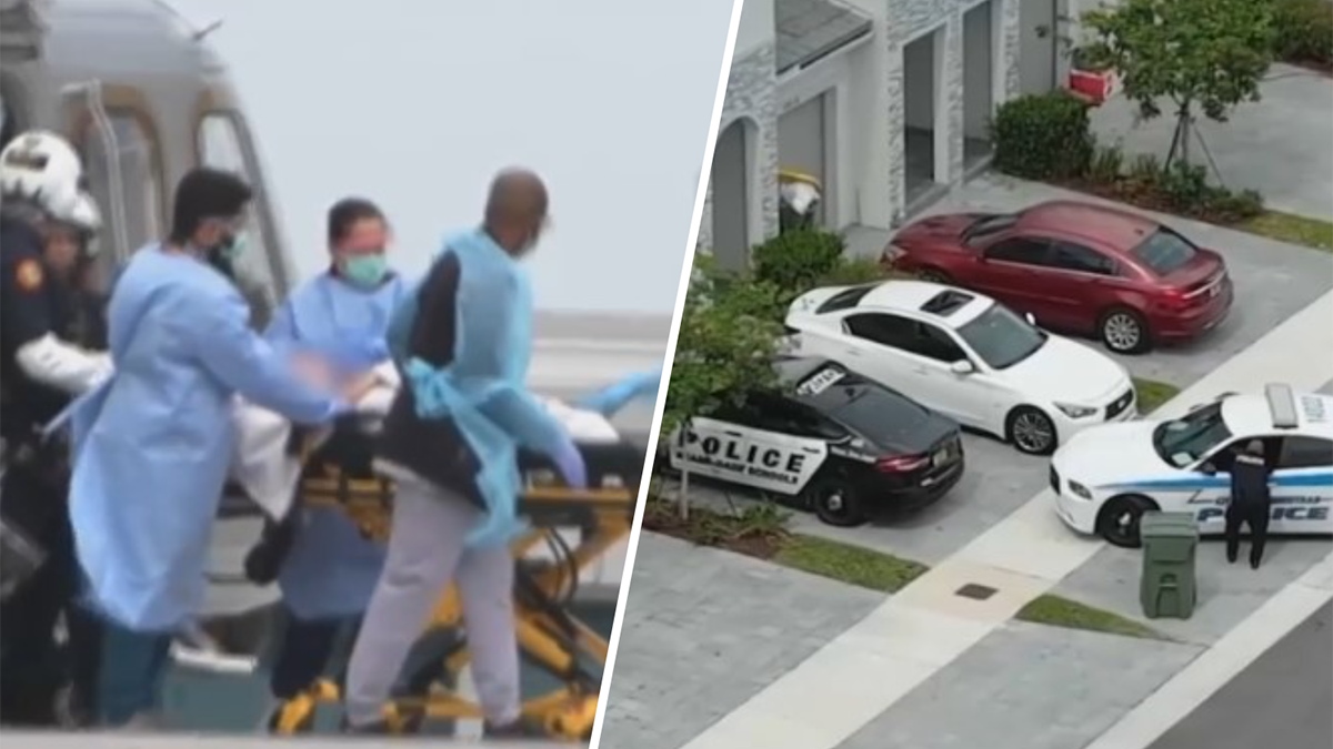 Toddler Injured in Accidental Shooting: Mother, a School Police Officer, Faces Charges