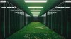 Eco-friendly data centers help drive $6.3 billion of green investment in Southeast Asia, but report shows more needed