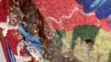 A mattress that appears to be covered in bedbugs.