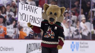 Arizona Coyotes mascot