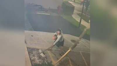 Woman seen knocking over menorah at Sunny Isles Chabad