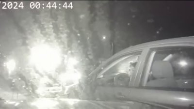 Dashcam video shows troopers stopping wrong-way driver on Florida highway