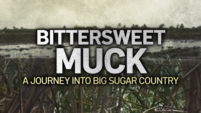 Bittersweet Muck: A journey into big sugar country