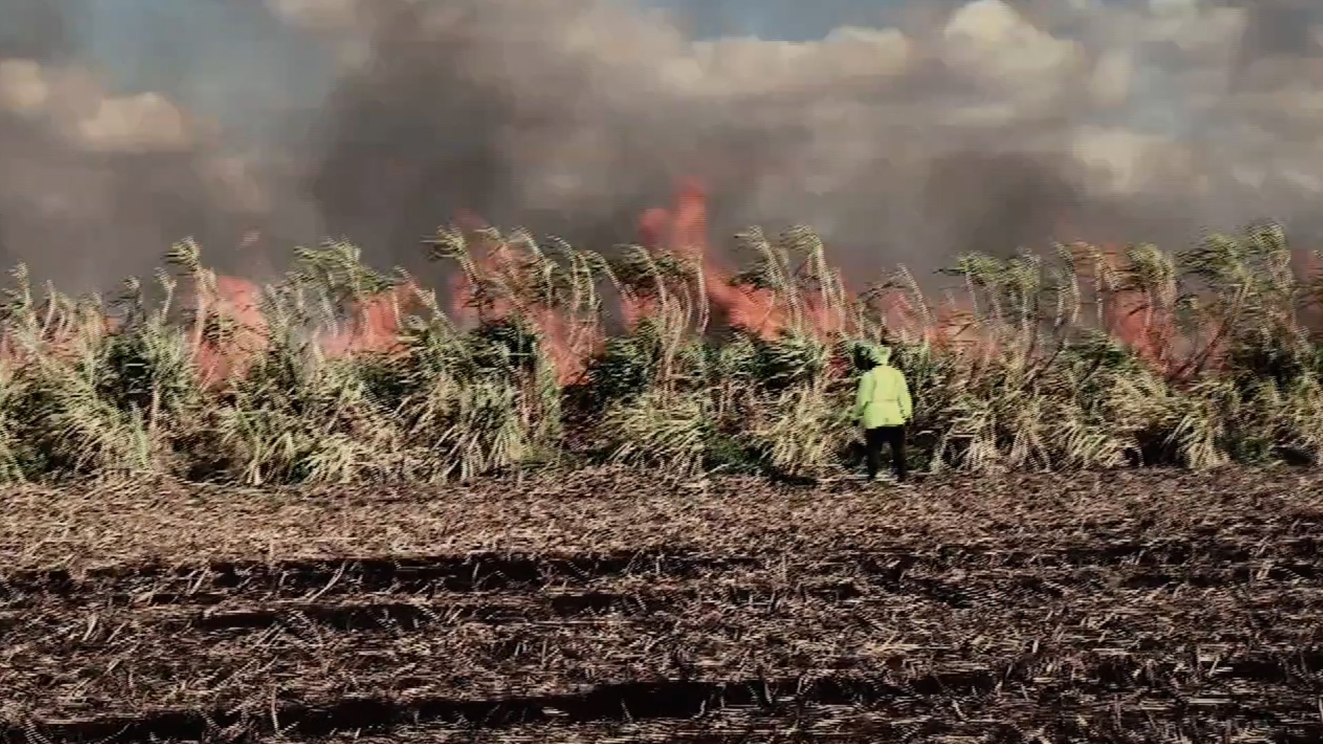 Bittersweet Muck: Florida sugar fires lead to complaints, research