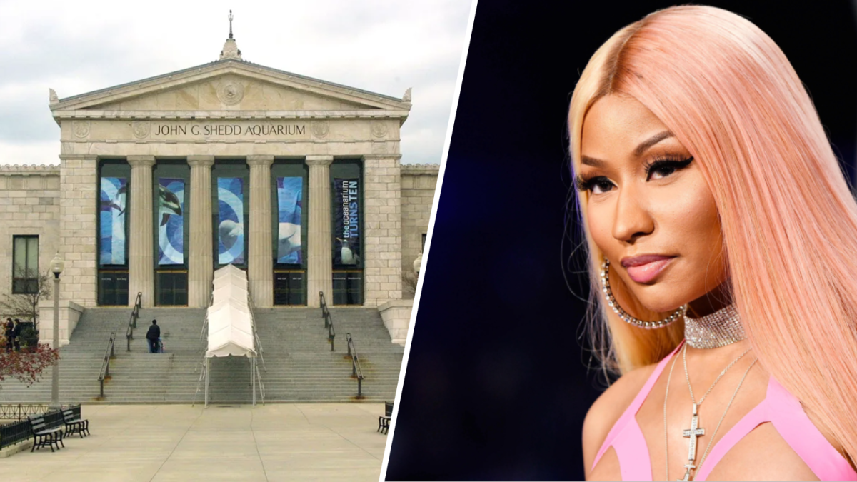 Nicki Minaj has relatable mom moment while at Shedd Aquarium in Chicago ...