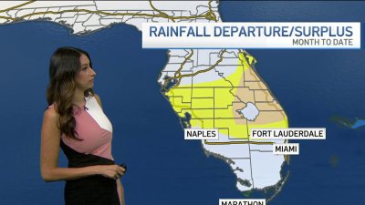 NBC6 First Alert Forecast – May 4, 2024 – Morning
