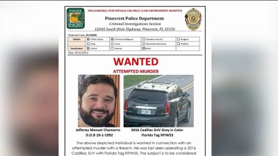Search underway for gunman who lured man to Pinecrest shooting: Police