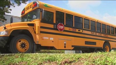 Miami-Dade launching school bus safety program with cameras, heavy fines for passing