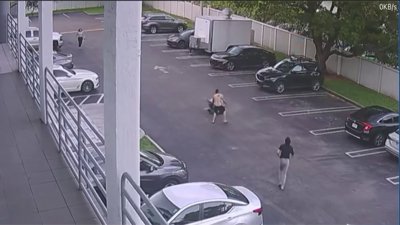 Video shows group tackling man who stole $30K worth of Pokémon cards from Florida store