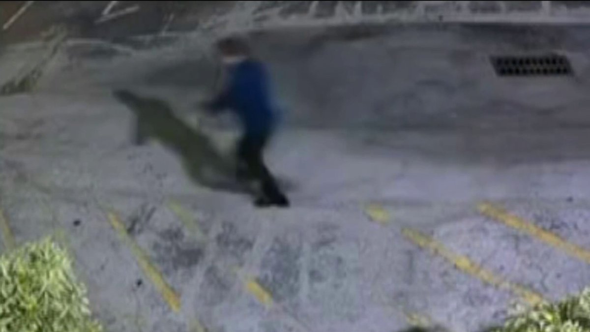 Video shows suspect accused of shooting at North Miami Beach Police ...