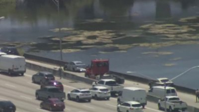 Video shows person who jumped into water after police pursuit on Palmetto Expressway