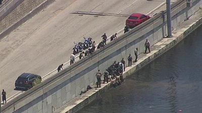 Officers pull suspect from water after chase on Palmetto Expressway
