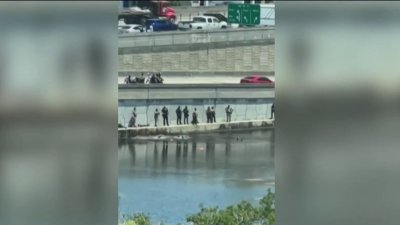 Woman arrested in stolen car chase that ended with her in Miami-Dade waterway in court