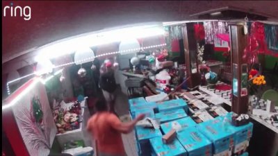 Video shows Miami restaurant owner confronting burglar
