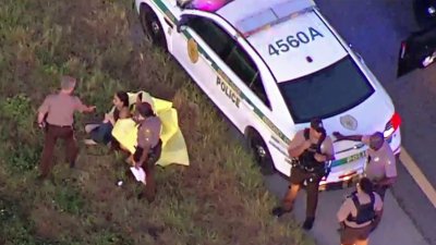 Car crashes into water off Turnpike in Miami-Dade