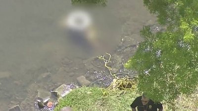 Woman's body found in canal in North Miami Beach