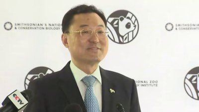 Chinese ambassador reveals details on new pandas headed to DC