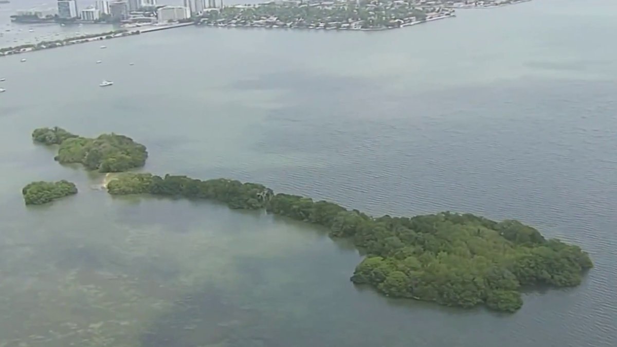 Private island Bird Key for sale for $31.5 million. Here’s the controversy – NBC 6 South Florida