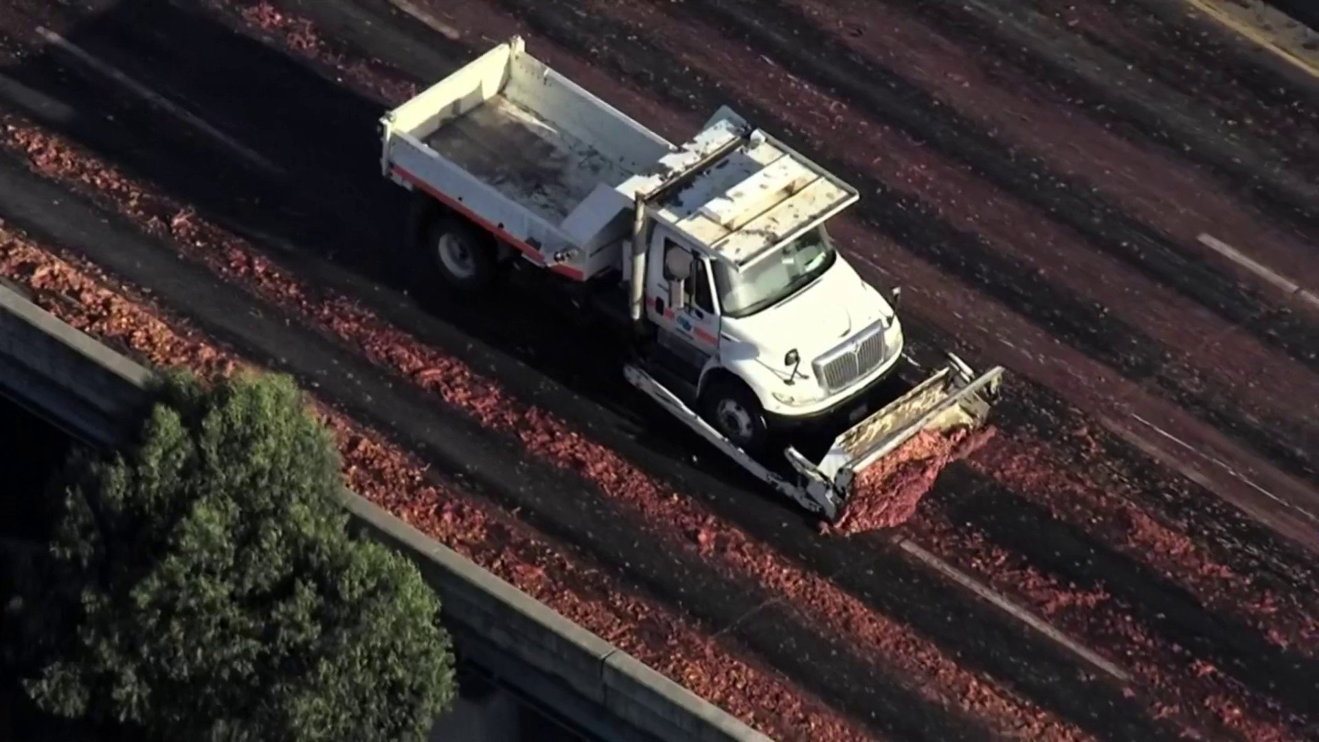 Meat spill sparks traffic delays on I-880 – NBC 6 South Florida - Vimarsana News