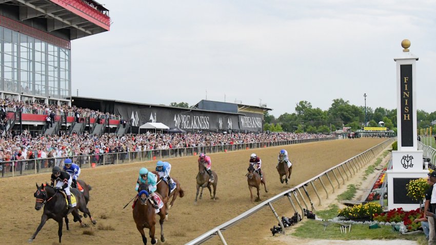 picture of preakness stakes