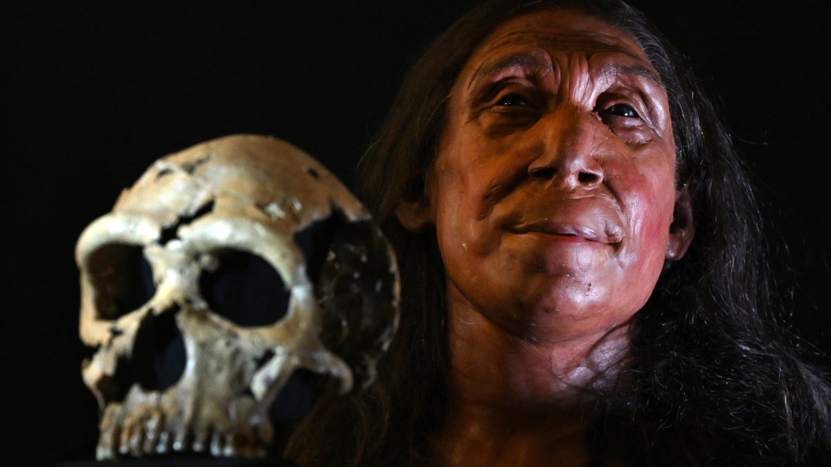 Face of 75000-year-old Neanderthal woman revealed - Vimarsana News