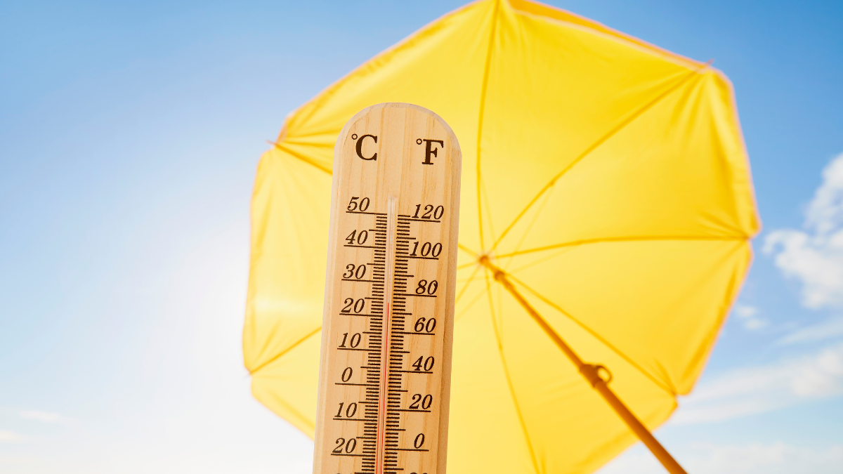 Heat advisory to impact weather in Miami, Broward – NBC 6 South Florida - Vimarsana News