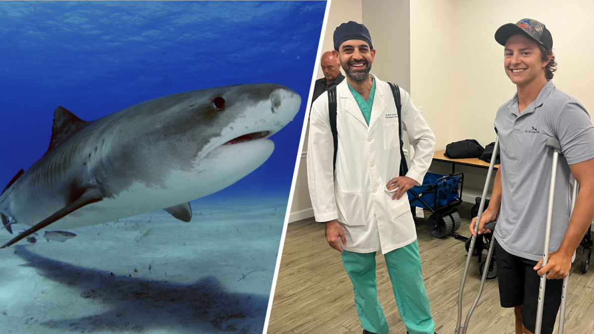 Shark bite victim treated in West Palm Beach NBC 6 South Florida