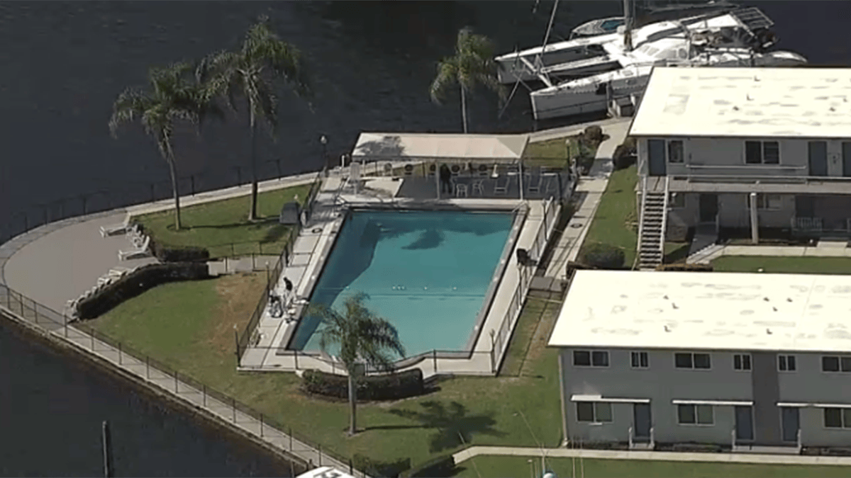 Police investigating after body found in pool in Fort Lauderdale – NBC ...