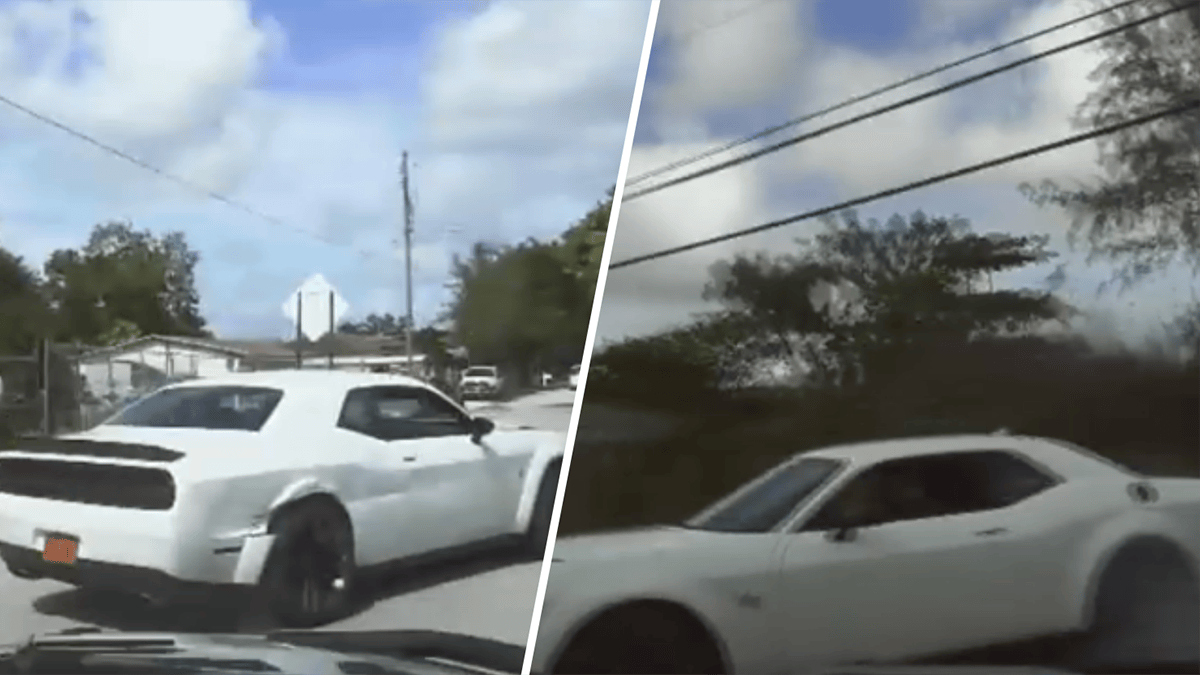 Wild video shows FHP chase of stolen Dodge Challenger end in crash in ...