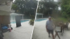 South Miami man on voyeurism probation busted again after videos show him in neighbor's yard: Cops