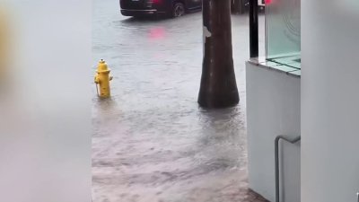 Heavy rain floods South Florida streets, causes hundreds of flight delays
