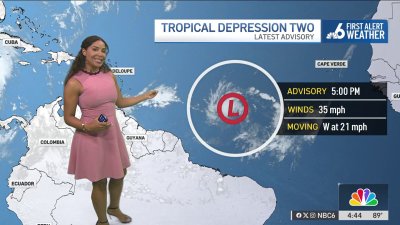 Tropical Depression Two forms in the Atlantic