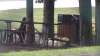 Man dies after being struck by lightning at park in Davie: Police