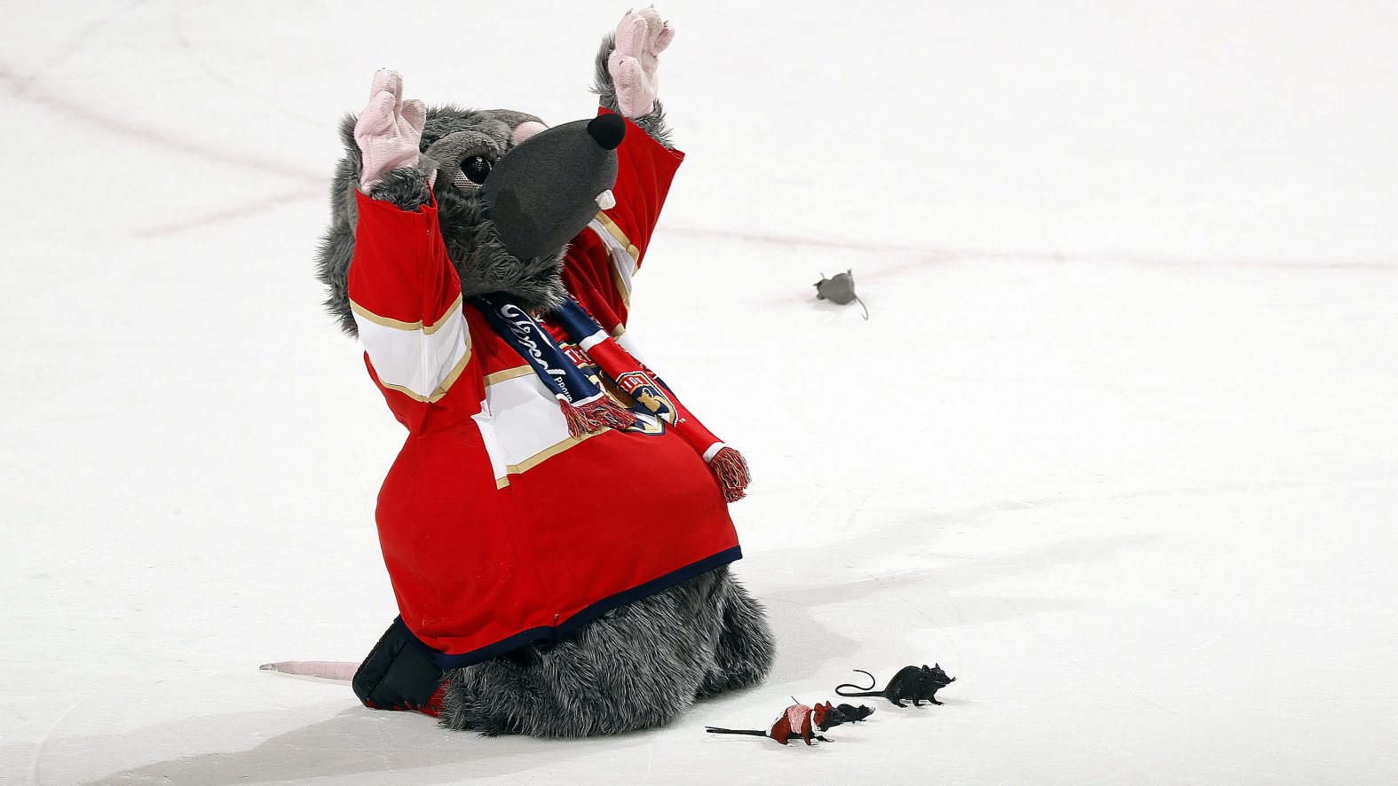 Florida Panthers fans’ rat-throwing tradition explained – NBC 6 South ...